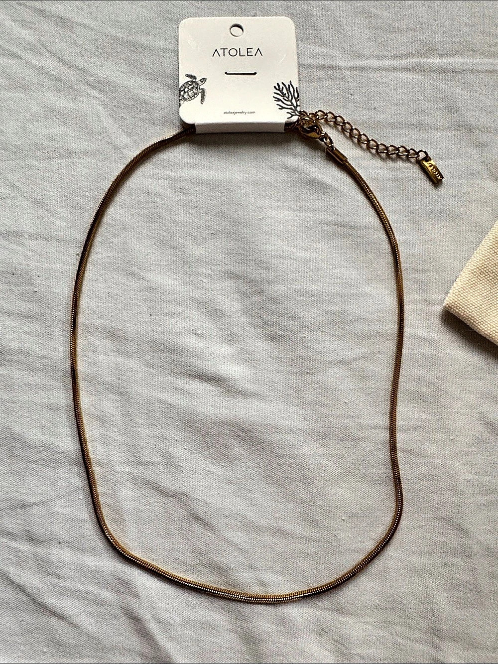 ATOLEA Fine Choker Gold-Tone Chain Necklace